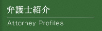 弁護士紹介-Attorney Profiles