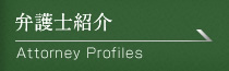 弁護士紹介-Attorney Profiles